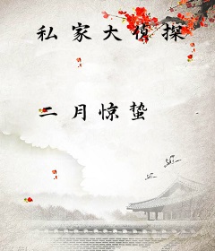 私家大侦探