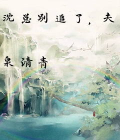 沈总别追了，夫人已改嫁