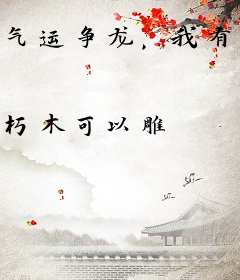 气运争龙，我有一颗夺运珠