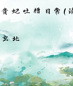 贵妃吐槽日常（清穿）