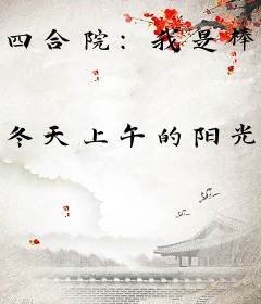 四合院：我是棒梗的七舅姥爷