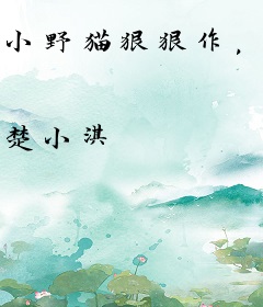 小野猫狠狠作，反派大佬夜夜哄