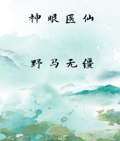 神眼医仙