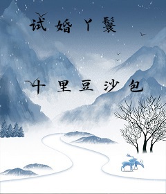 试婚丫鬟