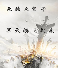 无敌九皇子