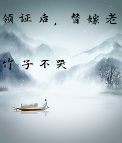 领证后，替嫁老公是隐藏大佬