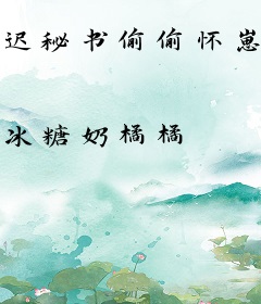 迟秘书偷偷怀崽，盛总揽腰宠上天