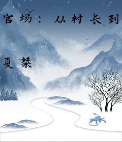 官场：从村长到省委书记