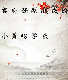 官府强制我成婚，反手白捡绝色双胞胎