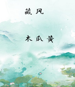 藏风
