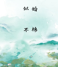 似婚