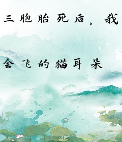 三胞胎死后，我嫁给了渣前夫他小叔