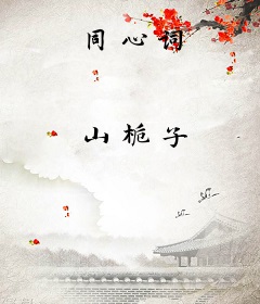同心词