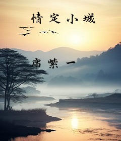 情定小城