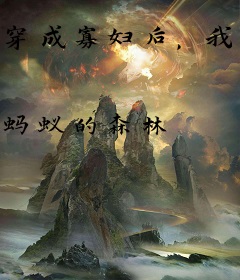 穿成寡妇后，我成了京城首富