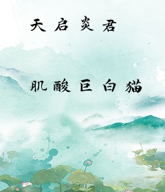 天启炎君