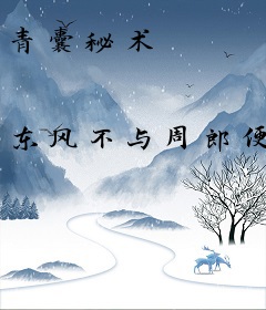 青囊秘术