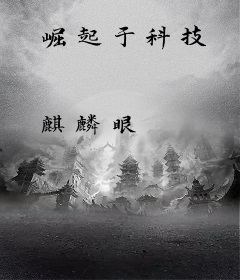 崛起于科技