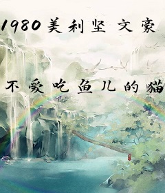 1980美利坚文豪之路