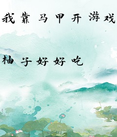我靠马甲开游戏公司