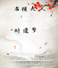 名捕夫人