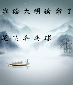 谁给大明续命了？