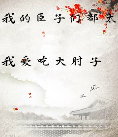 我的臣子们都太逆天了！