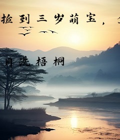 捡到三岁萌宝，全家福星高照