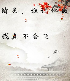 精灵，谁让他做道馆馆主的