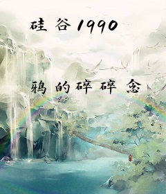 硅谷1990