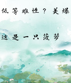 低等雌性？美爆全星际，雄性团宠