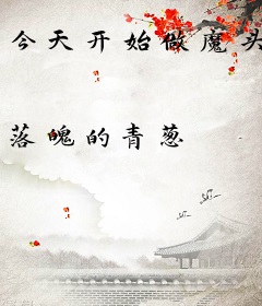 今天开始做魔头