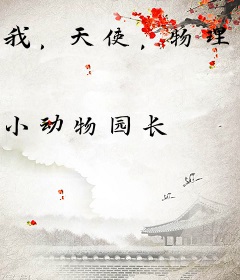 我，天使，物理超度