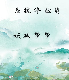 系统体验员