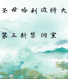 圣母哈利波特大传说