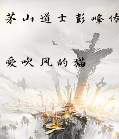 茅山道士彭峰传