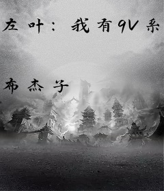 左叶：我有9V系统啊