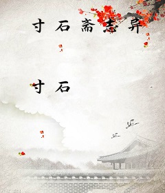 寸石斋志异