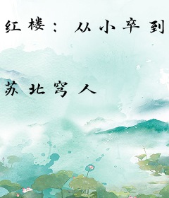 红楼：从小卒到万人之上