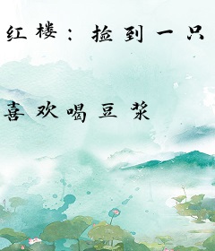红楼：捡到一只林黛玉