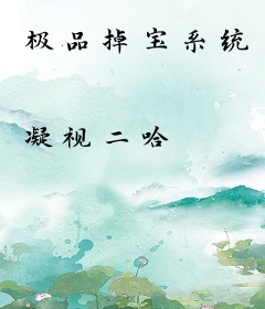 极品掉宝系统
