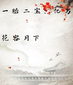 一胎二宝：亿万首席爱妻入骨