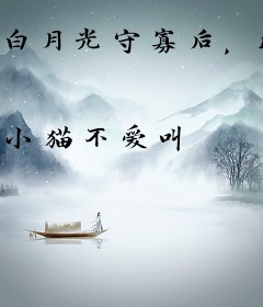 白月光守寡后，反派坐不住了