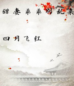 甜妻乖乖别乱来