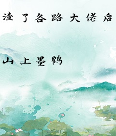 渣了各路大佬后，我失忆死遁了