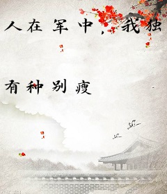 人在军中，我独自把所有技能加满