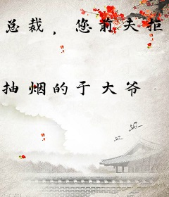 总裁，您前夫拒绝了复婚