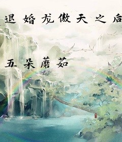 退婚龙傲天之后