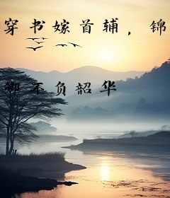 穿书嫁首辅，锦鲤甜妻旺全家