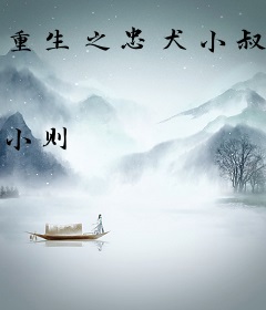 重生之忠犬小叔不好惹